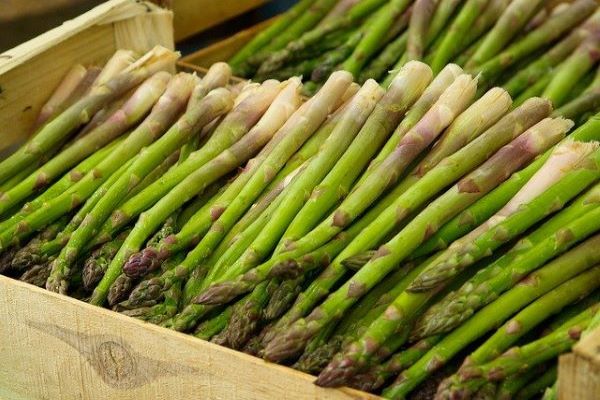 Asparagus - Mr Fresh Foods Pty Ltd
