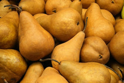 Pears - Bosc