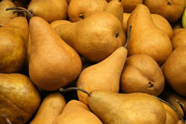 Pears - Bosc - Mr Fresh Foods Pty Ltd