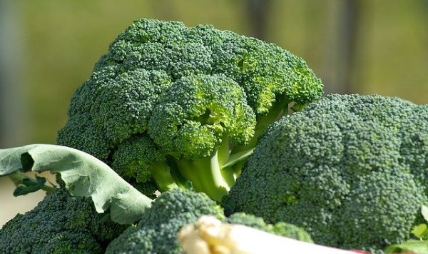 Broccoli - Mr Fresh Foods Pty Ltd