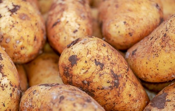 Loose Potatoes - Brushed - Mr Fresh Foods Pty Ltd