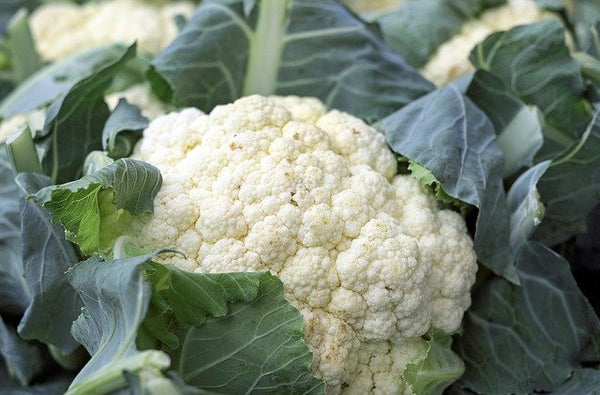 Cauliflower - whole - Mr Fresh Foods Pty Ltd