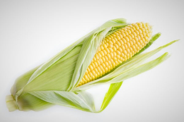 Corn - Mr Fresh Foods Pty Ltd