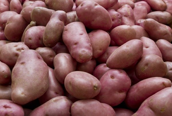 Potatoes - Desiree - Mr Fresh Foods Pty Ltd