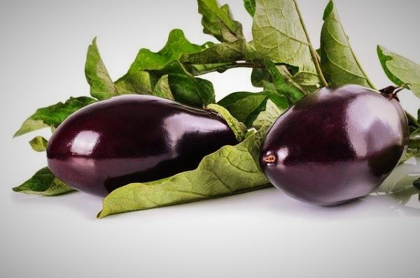 Eggplant - Mr Fresh Foods Pty Ltd