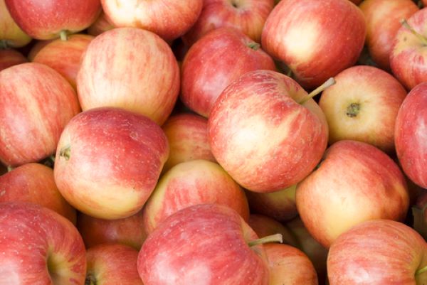 Apples - Fuji - Mr Fresh Foods Pty Ltd