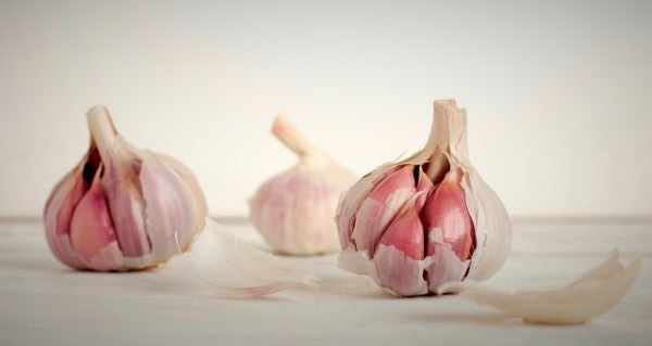 Garlic - Mr Fresh Foods Pty Ltd