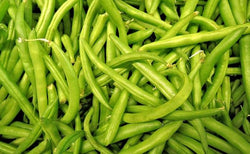 Beans - fresh green or yellow