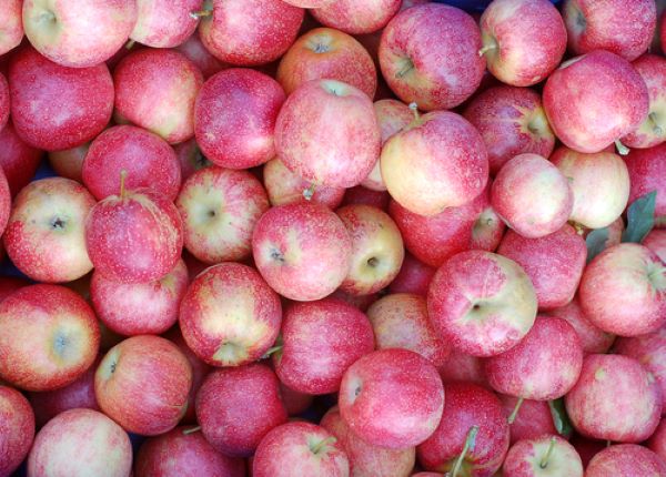 Apples - Pink lady - Mr Fresh Foods Pty Ltd