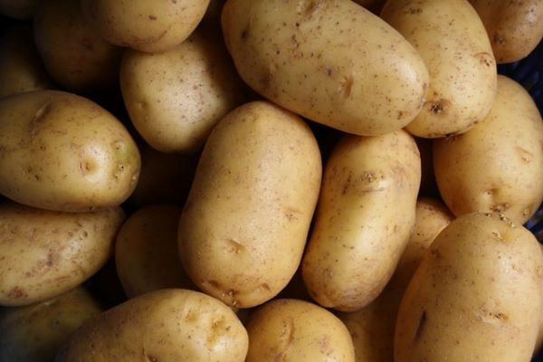 Potatoes - Washed - Mr Fresh Foods Pty Ltd