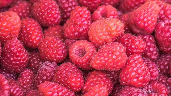 Raspberries - Mr Fresh Foods Pty Ltd