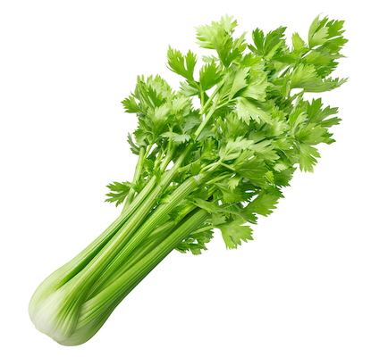 Celery - whole - Mr Fresh Foods Pty Ltd