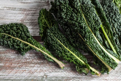 Kale - tuscan