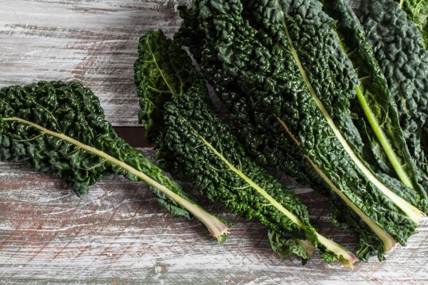 Kale - tuscan - Mr Fresh Foods Pty Ltd