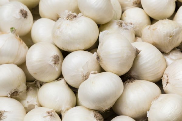 Onions - white/kg - Mr Fresh Foods Pty Ltd